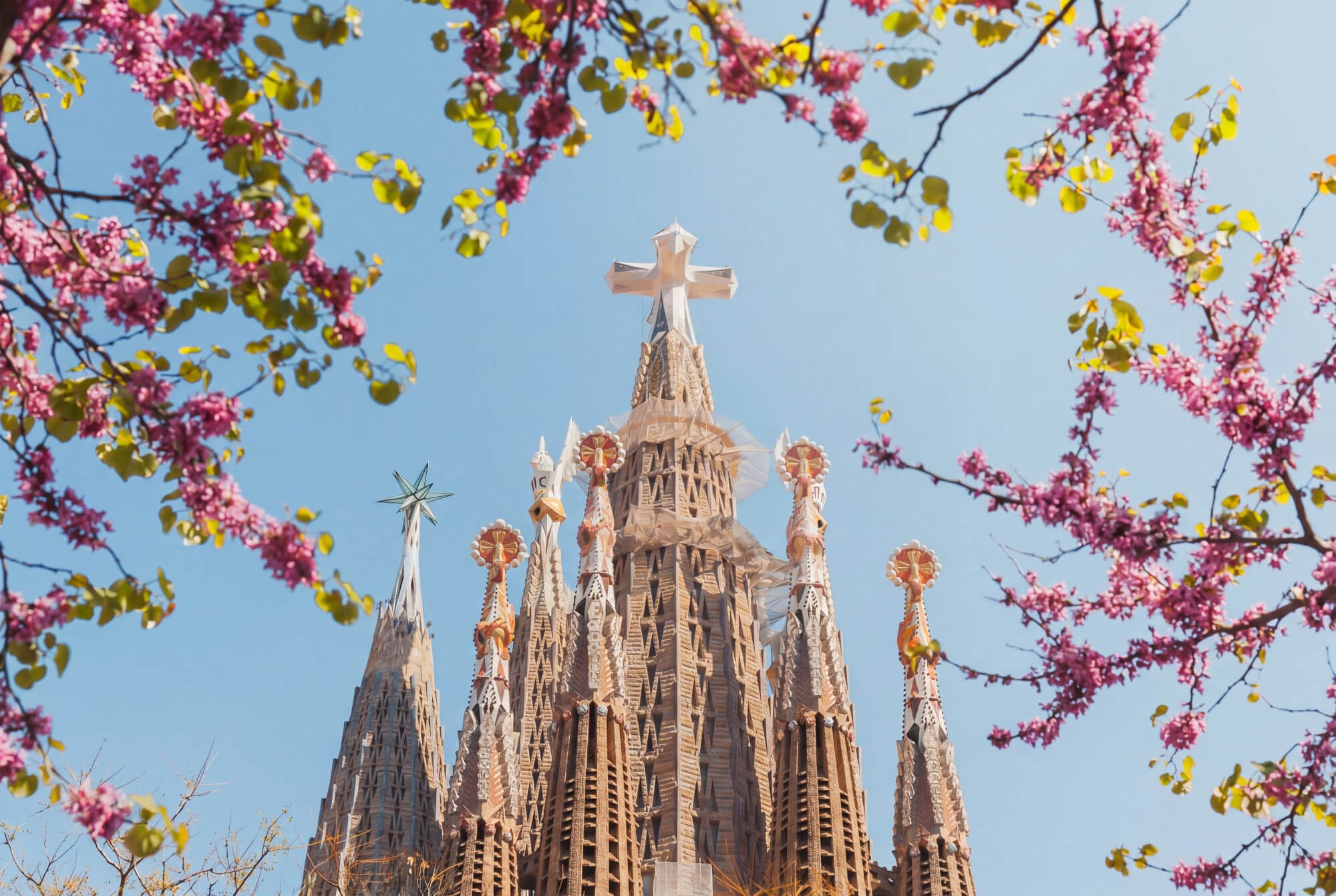 Barcelona visita papa
